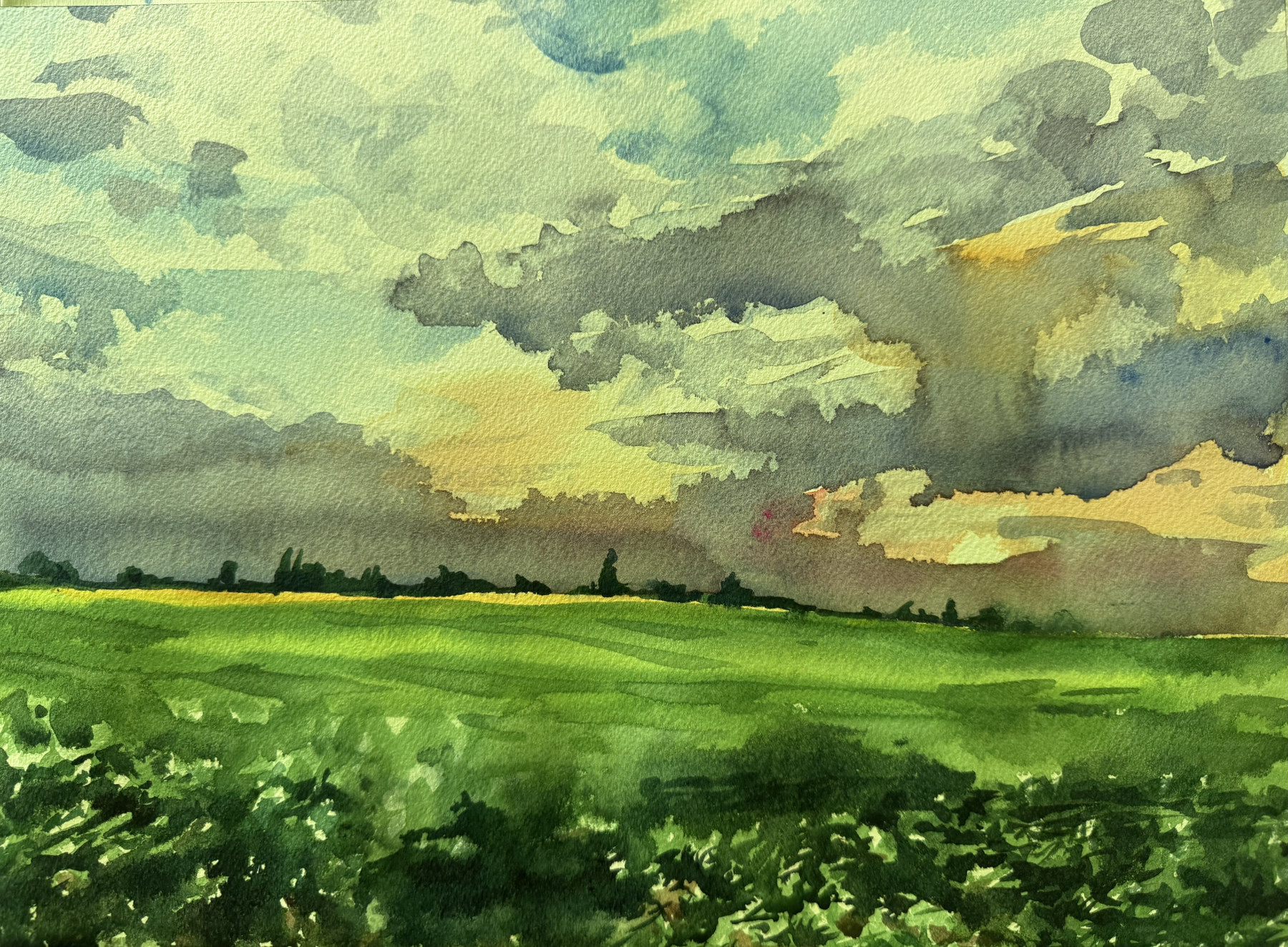 Landscape painting with green fields beneath a dramatic cloudy sky, by Judith Langerôme.
