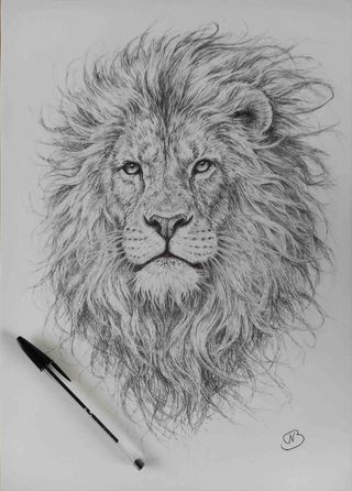 Artwork by Ben Bracke.