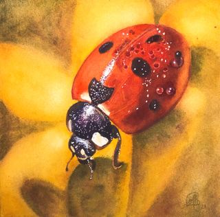 Artwork by Ingrid Lefevre.