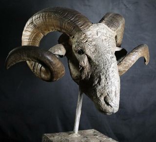 Artwork by Abé Herman.